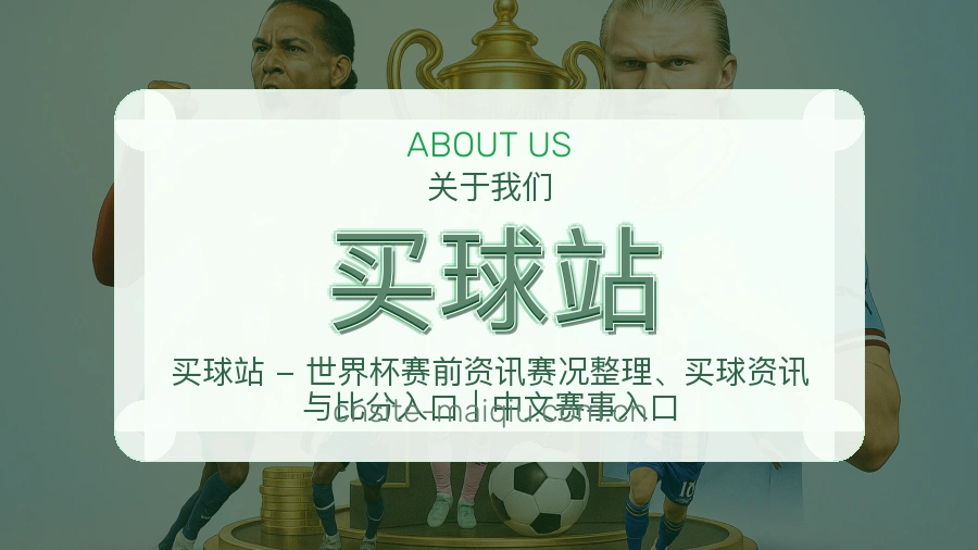 买球站站点服务说明配图